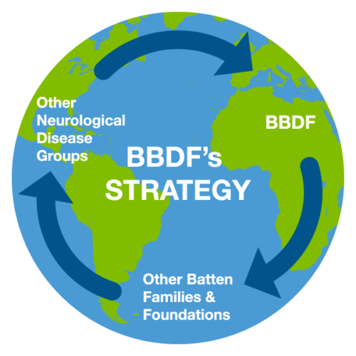 BBDF's Strategy