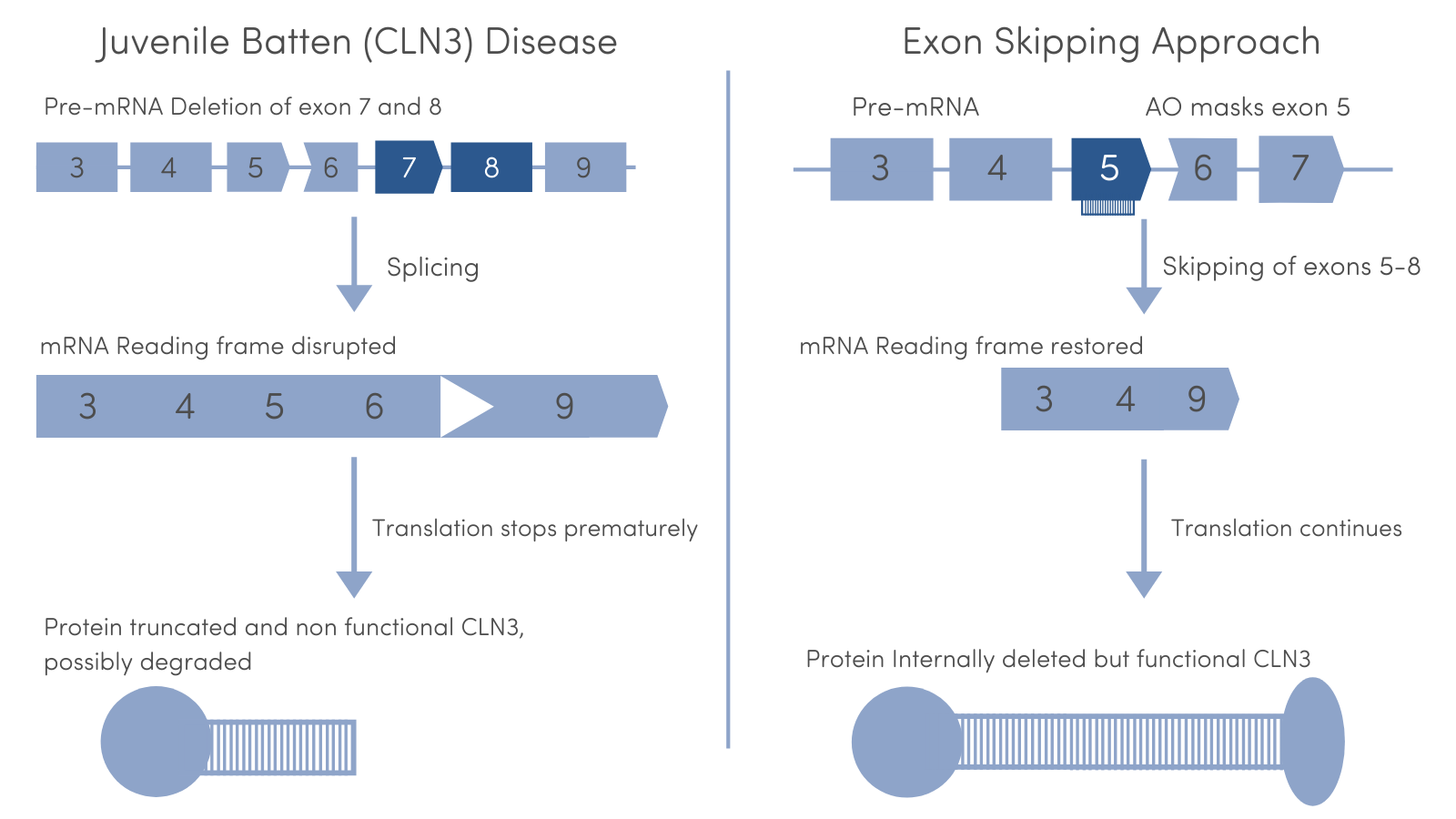 Niemann-Pick disease types A and B (NORD): Video